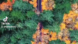 Sights from space
