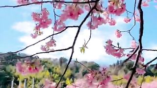 Amazing video