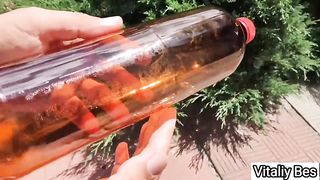 Бесплатный клей из пластиковых бутылок