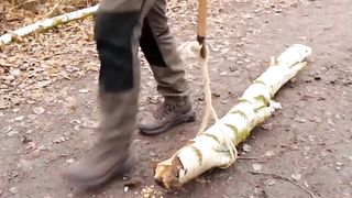 The most effective wood hacks that will make spending time outdoor more enjoyable