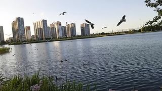 River