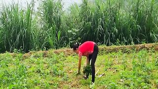 How to make a fence strong bomboo