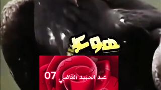 ثق بالله دائمآ