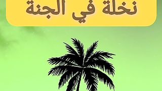 Plant a palmtree in paradise