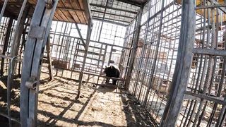 Начало прогулки не без косяков.