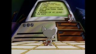 Animaniacs ｜ Pinky and the Brain Become Country Singers ???? ｜ Classic Cartoon ｜ WB Kids