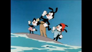 Animaniacs ｜ Holiday on a Pirate Island ｜ WB Kids