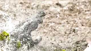 The crocodile pounced on the deer sadistically