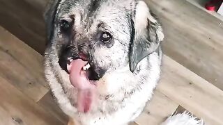 #funny
