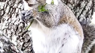#funny