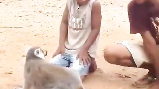 Two boys in Madagascar scratch the back of a habituated lemur