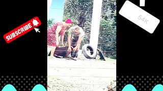 Cutdog vidéo Fanny Vidéo animal