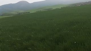 Love nature ????????