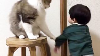 Cat nanny! ????????‍⬛