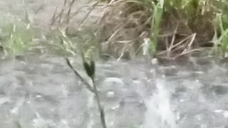 Rain that causes flooding