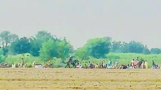 Horse Race