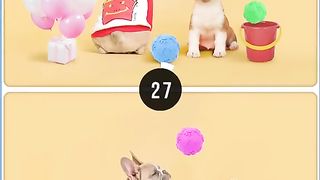 5 differences game