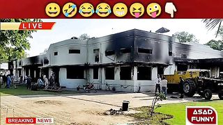 کنواروں کا ریڑھی لگانے کا فیصلہ