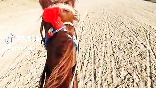 Horse Race(2)