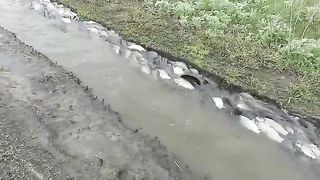 Так вот где вся рыба
