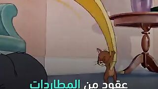 القط والفار