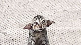 oooo caty