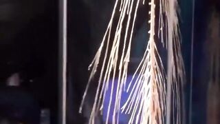 Fascinating video shows a fully intact human nervous system.