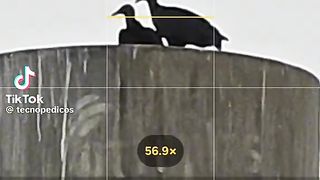 S24 ultra has the best zoom in the world