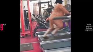 Try Not To Laugh Funny Videos