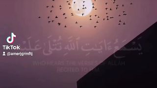 حبايب خلونا نتبادل الاشتراكات لحتى الكل يستفاد ????