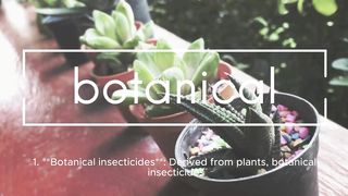 Exploring the effectiveness of natural insecticides: a comprehensive overview