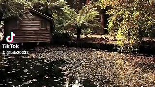 The beauty of the nature