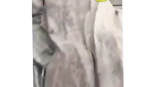 Surprise