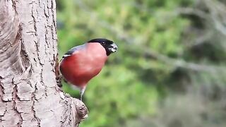 Beautiful natur_ جمال الطبيعة