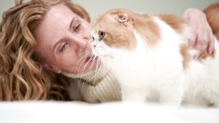 Soothing Moments: White & Yellow Cat Relaxes Under Gentle Petting