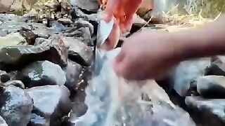 How to make amazing ???????????? to make kitchen garden tips