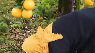 How to make kitchen food ???????? to make kitchen garden tips
