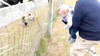 Cute and Funny Baby: Heartwarming Moments of Joy and Laughter