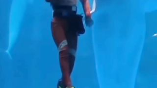 The adorable beluga whale steals a diver's heart