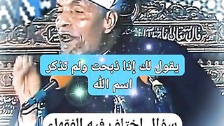 الشيخ الشعراوي