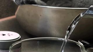 Tea cat