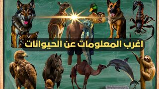أكتشف معنا اسرار وحقائق مدهشة عن عالم الحيوانات