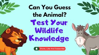 Guess the Exotic Wildlife Challenge: Can You Get 100% Correct?