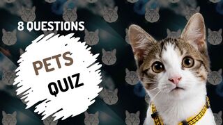 8 Questions Pets Quiz