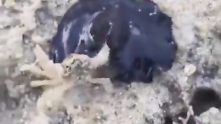 Can anyone explain what this is?