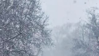 What is the most wonderful snow in the city?