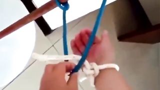 Demonstration of topology.
