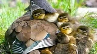 Beautiful mothers and baby cute