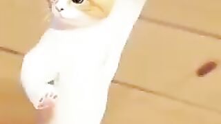 اضحك واستمتع شاهد????