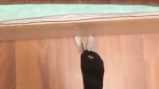 My pet
